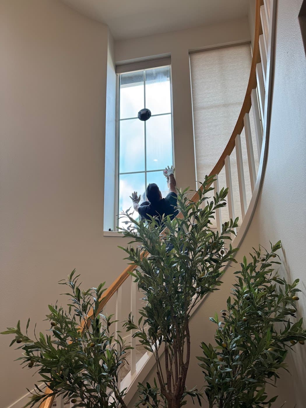 Aria Glass technician installing a tall window above a curved staircase