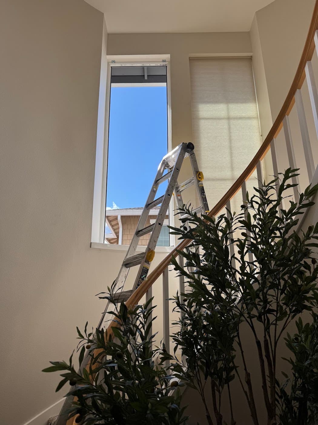 Ladder set up on the curved staircase to reach the entryway window