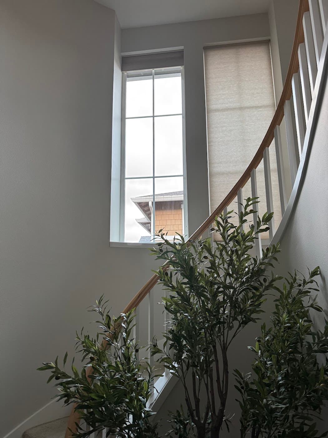 Finished tall entryway window above the curved staircase